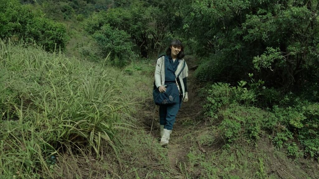 影都邀请到当红明星的背后疑云引发粉丝关注，行业内幕逐渐浮出水面